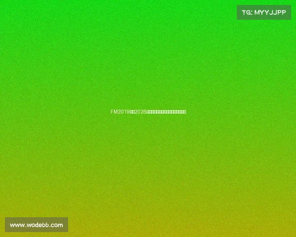 FM2019模拟2026世界杯全程策略与球队征战指南解析 FM2019模拟2026世界杯全程策略与球队征战指南解析